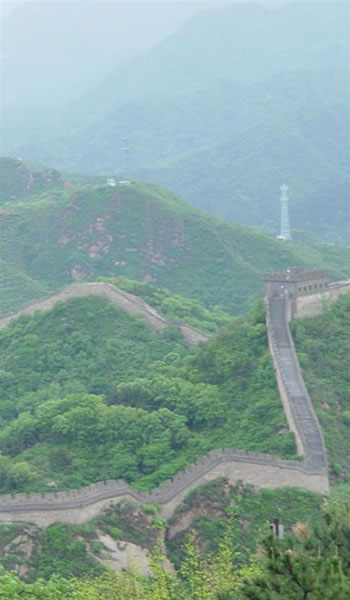 Revenue managers and consultants who are also billing analysts