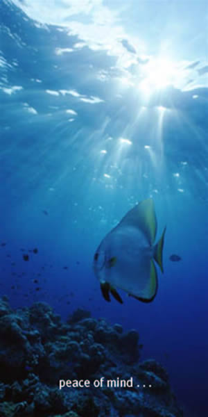 Receive peace of mind