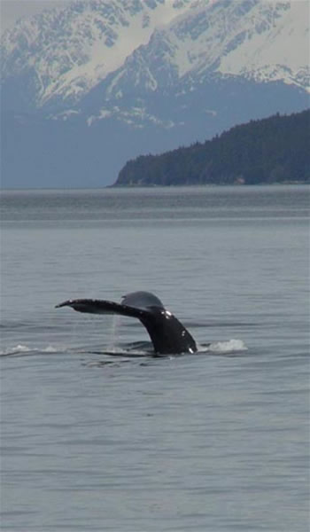 Managing and improving your revenues